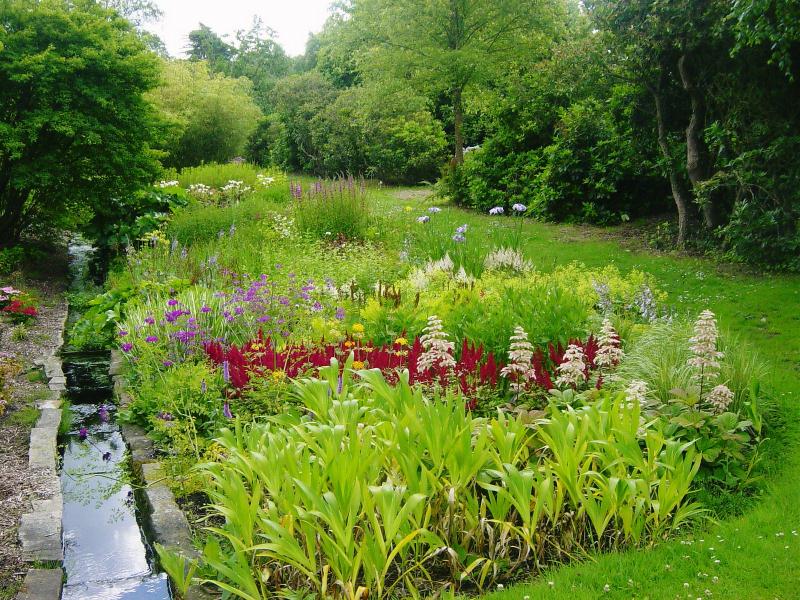 The Place for Plants, East Bergholt Place Garden